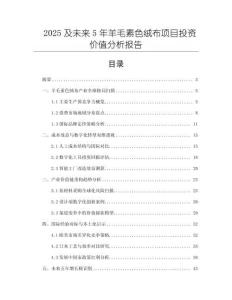 2025及未來5年羊毛素色絨布項目投資價值分析報告