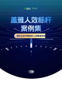 2025年人效標(biāo)桿案例集-