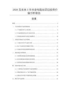 2026及未来5年合金电阻丝项目投资价值分析报告