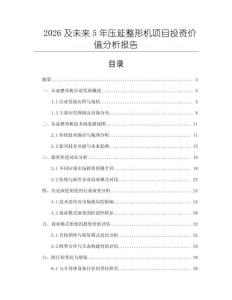 2026及未來(lái)5年壓延整形機(jī)項(xiàng)目投資價(jià)值分析報(bào)告