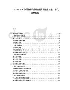 2025-2030中國特種氣體行業技術壁壘與進口替代研究報告