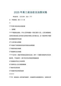 2025年高三政治依法治國試卷