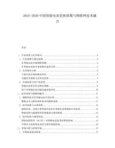 2025-2030中國智能電表更換周期與物聯網技術融合