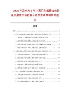 2025年及未來5年中國門冬氨酸洛美沙星注射液市場(chǎng)數(shù)據(jù)分析及競(jìng)爭(zhēng)策略研究報(bào)告
