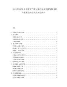 2025至2030中國液壓萬能試驗機行業市場發展分析與發展趨勢及投資風險報告
