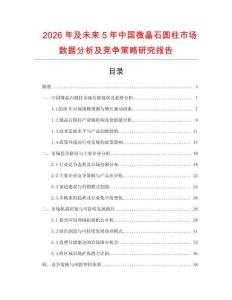 2026年及未來5年中國微晶石圓柱市場數(shù)據(jù)分析及競爭策略研究報告