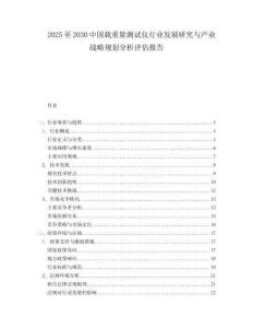 2025至2030中國載重量測試儀行業發展研究與產業戰略規劃分析評估報告