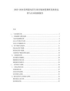 2025-2030伯利茲電信行業(yè)市場深度調(diào)研及商業(yè)運營與行業(yè)創(chuàng)新報告