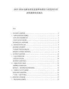 2025-2030電解水制氫設備降本路徑與綠氫項目經濟性測算研究報告