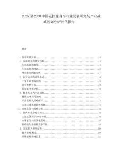 2025至2030中國磁控健身車行業發展研究與產業戰略規劃分析評估報告