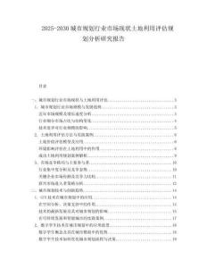 2025-2030城市规划行业市场现状土地利用评估规划分析研究报告
