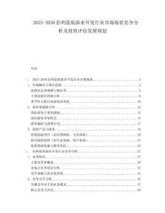 2025-2030伯利茲旅游業(yè)開發(fā)行業(yè)市場現(xiàn)狀競爭分析及投資評估發(fā)展規(guī)劃