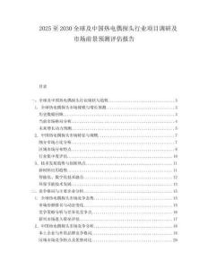 2025至2030全球及中國熱電偶探頭行業項目調研及市場前景預測評估報告