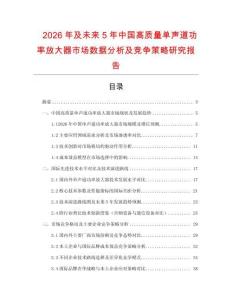 2026年及未來5年中國高質量單聲道功率放大器市場數據分析及競爭策略研究報告