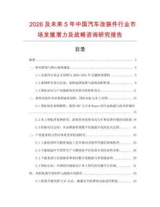 2026及未來5年中國汽車改裝件行業市場發展潛力及戰略咨詢研究報告