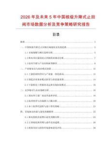 2026年及未來5年中國核級升降式止回閥市場數據分析及競爭策略研究報告