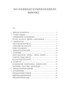 2025-2030能源电池行业市场供需分析及投资评估规划研究报告
