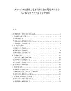 2025-2030塞浦路斯電子商務行業市場現狀供需分析及投資評估規劃分析研究報告