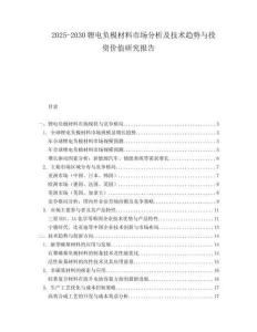 2025-2030锂电负极材料市场分析及技术趋势与投资价值研究报告