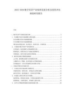 2025-2030数字经济产业现状发展分析及投资评估规划研究报告