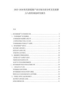 2025-2030欧美新能源产业市场全面分析及发展潜力与投资规划研究报告