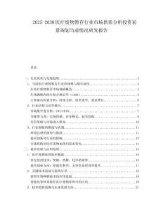 2025-2030醫(yī)療廢物暫存行業(yè)市場供需分析投資前景規(guī)劃當(dāng)前情況研究報告