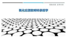 氧化應激致畸轉錄組學