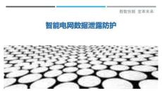 智能電網數據泄露防護