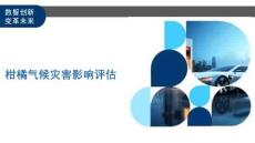 柑橘氣候?yàn)?zāi)害影響評估