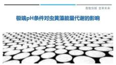 極端pH條件對蟲黃藻能量代謝的影響