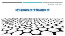 林業數字孿生技術應用研究