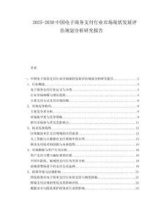 2025-2030中国电子商务支付行业市场现状发展评估规划分析研究报告