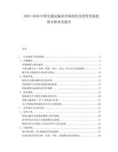 2025-2030中國交通運輸業市場現狀及投資發展趨勢分析研究報告