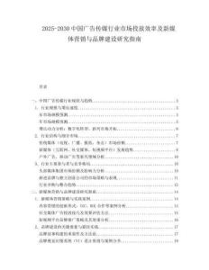 2025-2030中國廣告傳媒行業市場投放效率及新媒體營銷與品牌建設研究指南