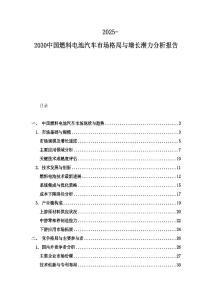 2025-2030中國燃料電池汽車市場格局與增長潛力分析報告