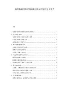 傳統體育用品經銷商數字化轉型痛點分析報告