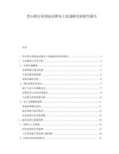 登山鞋行業(yè)國際品牌本土化戰(zhàn)略比較研究報告