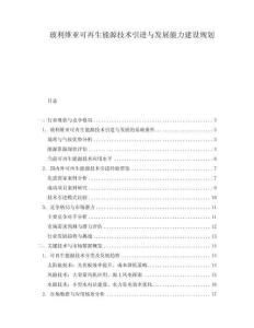 玻利維亞可再生能源技術(shù)引進(jìn)與發(fā)展能力建設(shè)規(guī)劃