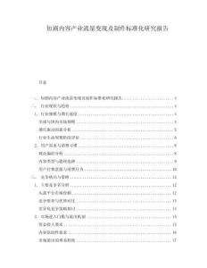 短劇內容產業流量變現及制作標準化研究報告