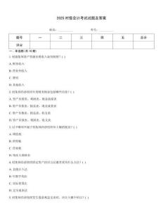 2025村級會計考試試題及答案