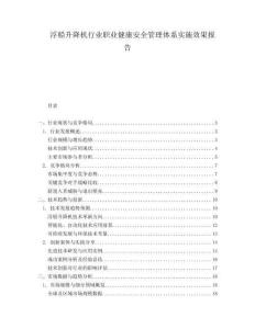 浮船升降機行業職業健康安全管理體系實施效果報告
