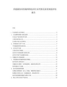 多能源協(xié)同傳輸網(wǎng)絡(luò)技術(shù)行業(yè)考察及前景規(guī)劃評(píng)估報(bào)告