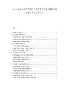 2025-2030中國醫藥CXO行業競爭態勢及全球化布局與投融資機會分析報告