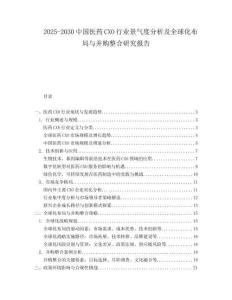 2025-2030中國醫藥CXO行業景氣度分析及全球化布局與并購整合研究報告