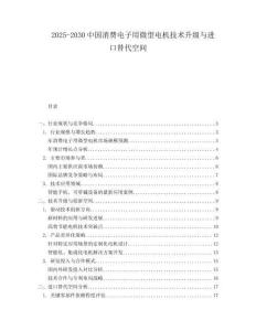 2025-2030中國消費電子用微型電機技術升級與進口替代空間