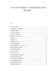 2025-2030中國新媒體廣告投放效果監測與優化策略研究報告
