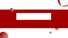 《毛澤東思想概論》 課件   第十二章 獨(dú)立自主