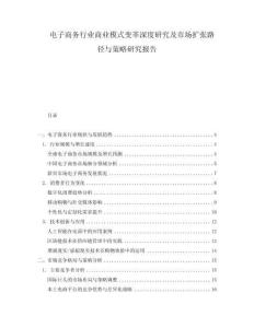 電子商務(wù)行業(yè)商業(yè)模式變革深度研究及市場擴(kuò)張路徑與策略研究報(bào)告