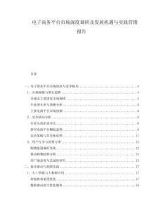 電子商務(wù)平臺市場深度調(diào)研及發(fā)展機(jī)遇與實(shí)踐營銷報(bào)告