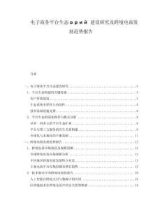 電子商務(wù)平臺生態(tài)орий建設(shè)研究及跨境電商發(fā)展趨勢報告